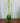 Viking Green Swung Glass Vase | 17" Tall