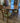 Fully Restored Drexel "Profile" Dining Set | Table with 2 Leaves and 6 Chairs