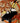 Large Toucan Canvas Art