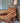 Retro Floral Kroehler Chair