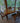 Danish Teak Dining Set with 4 Chairs, Table, and 2 Leaves | Johannes Andersen