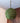 Mid Century Modern Green Spaghetti Lucite Swag Light