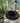 Mid-Mod Space Age Chair | Black Vinyl Cushion | Molded Plastic Base