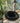 Mid-Mod Space Age Chair | Black Vinyl Cushion | Molded Plastic Base
